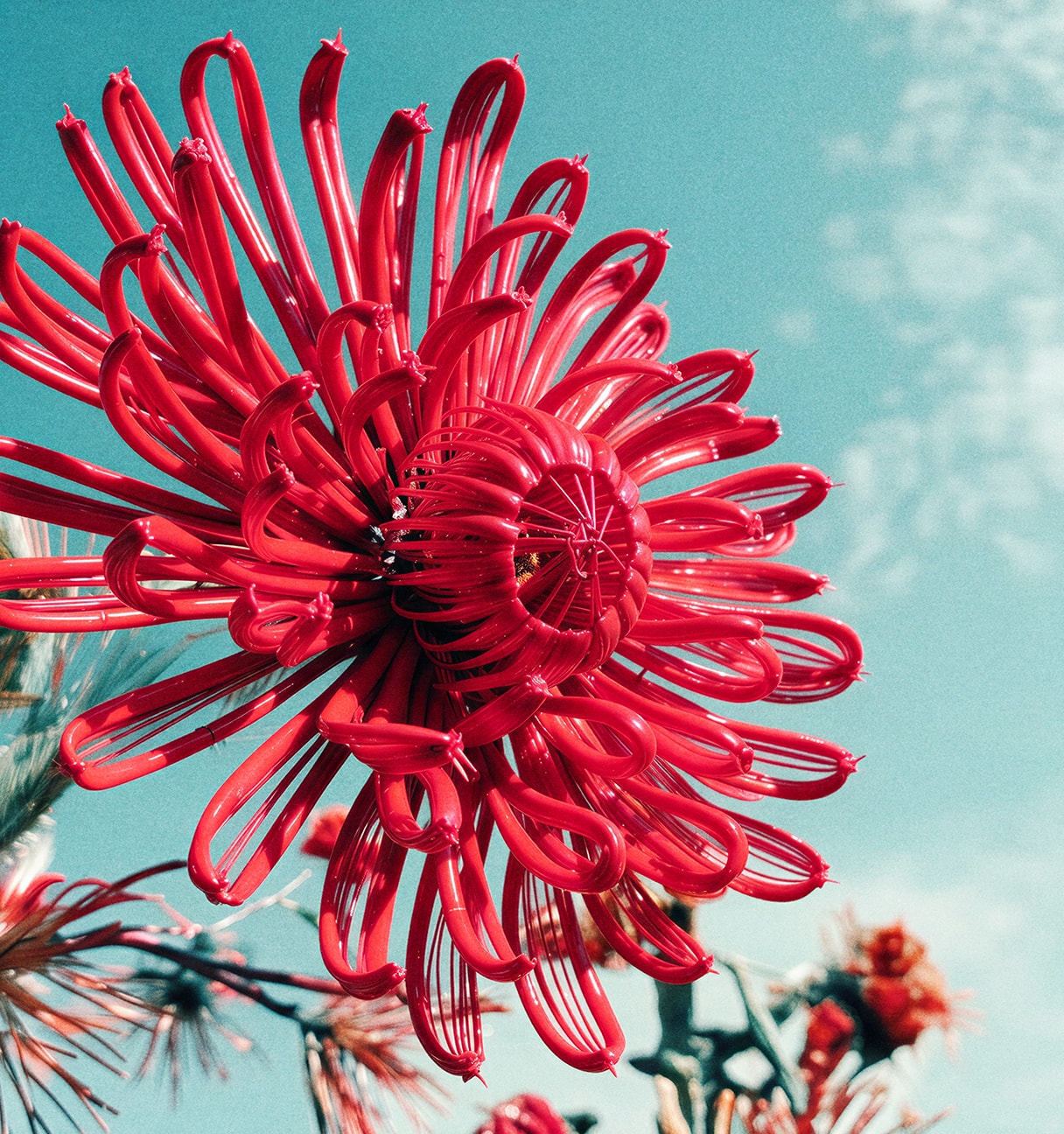 flower made of cable
